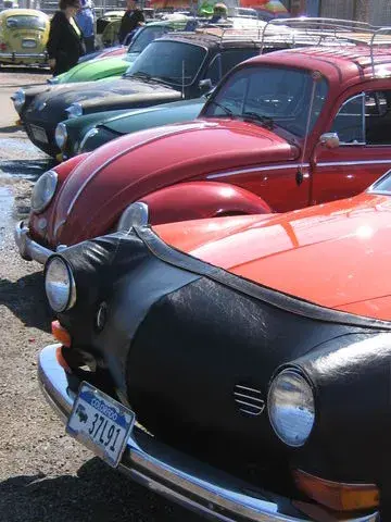 Spring Dub 2009 show, photo 3