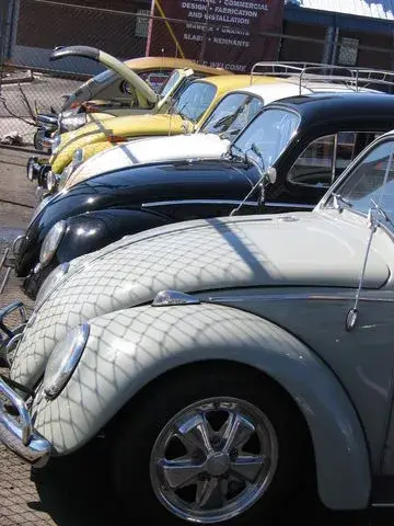 Spring Dub 2009 show, photo 16